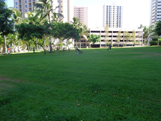 1080 Ala Napunani Street  Unit 310