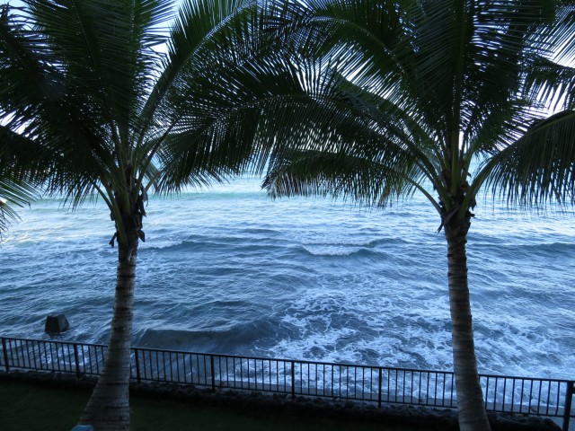 2999 Kalakaua Avenue  Unit 202