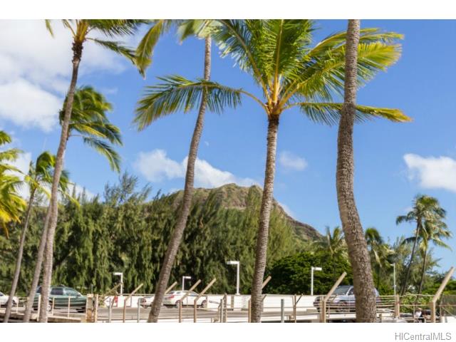 2895 Kalakaua Avenue  Unit 206