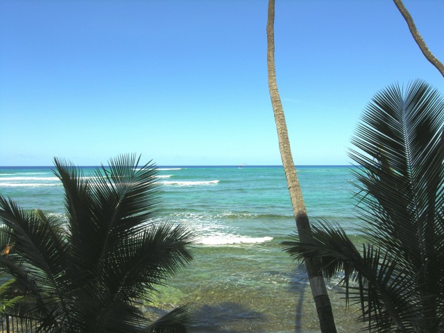 2999 Kalakaua Avenue  Unit 202
