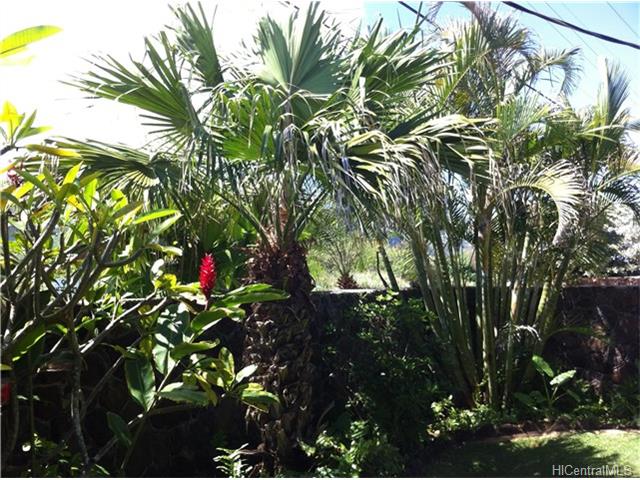 68-697 Farrington Highway