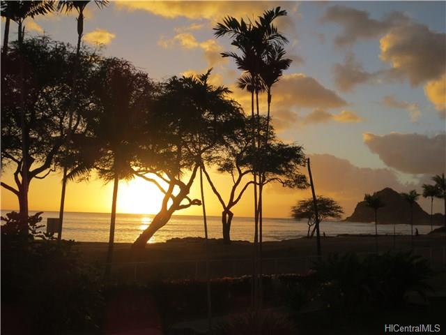 85-175 Farrington Highway  Unit A223