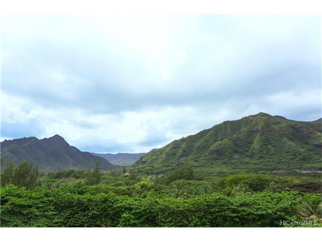 53-567 Kamehameha Highway  Unit 3