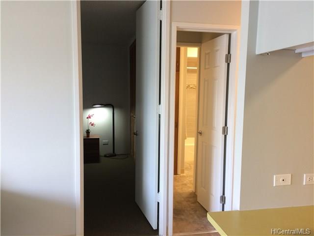 1114 Wilder Avenue  Unit 503