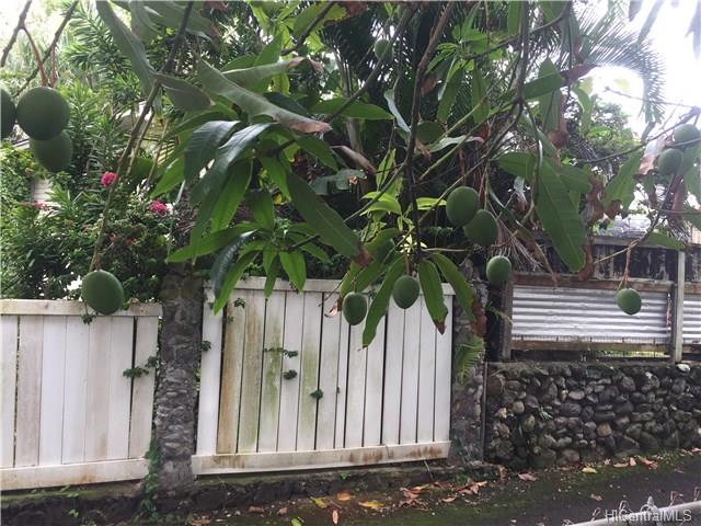 54-247 Honomu Street