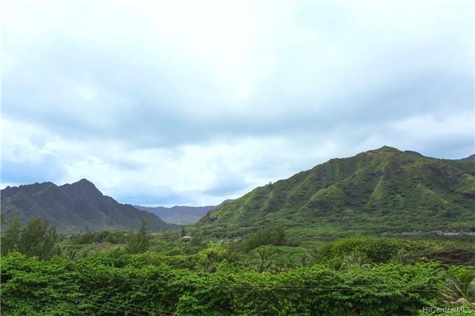 53-567 Kamehameha Highway  Unit 3