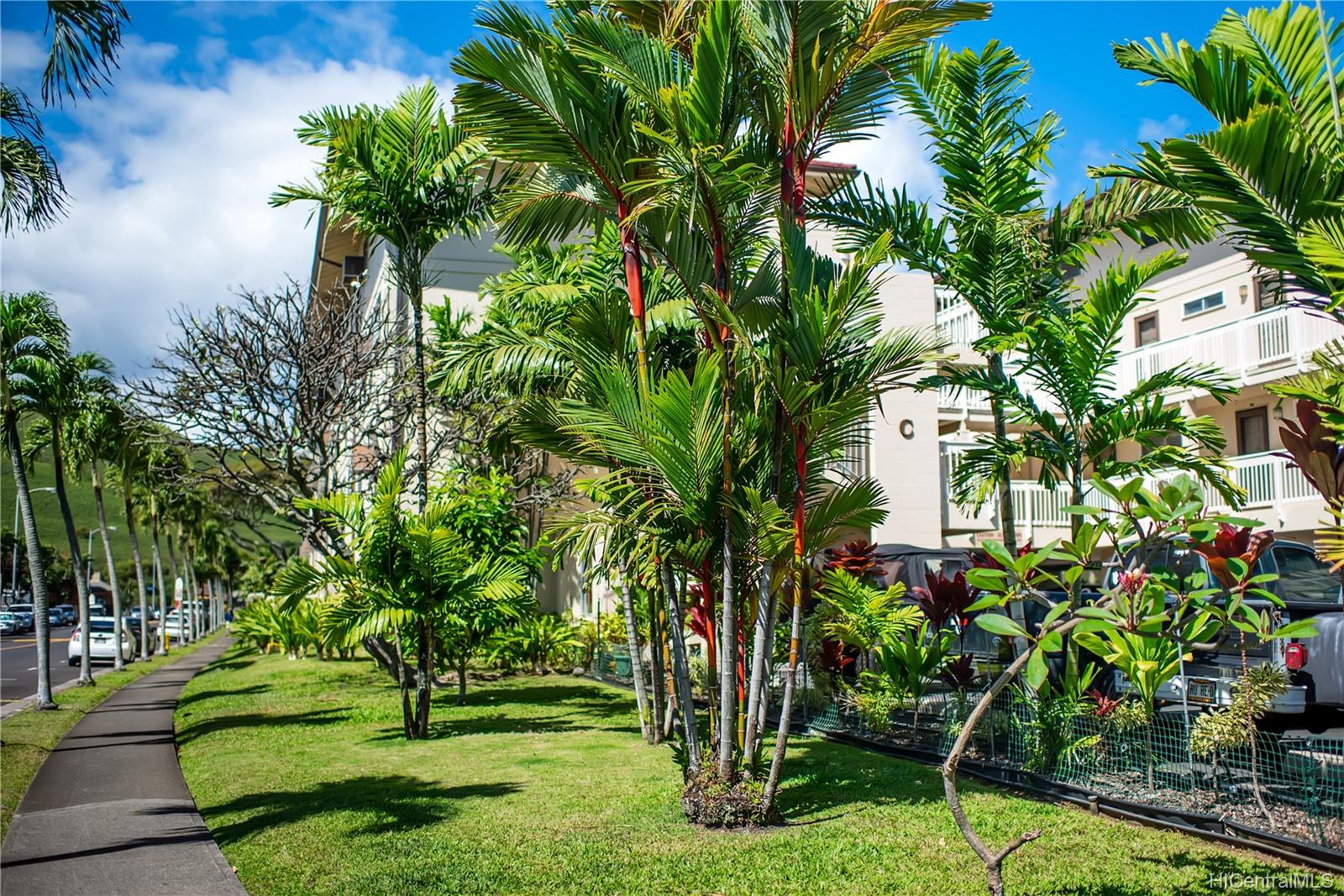 350 Aoloa Street  Unit C214