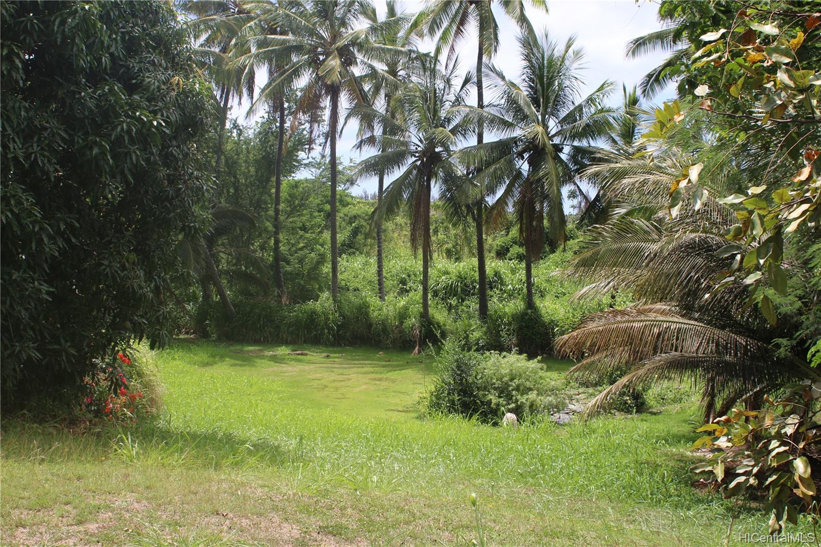 66-346 Paalaa Road