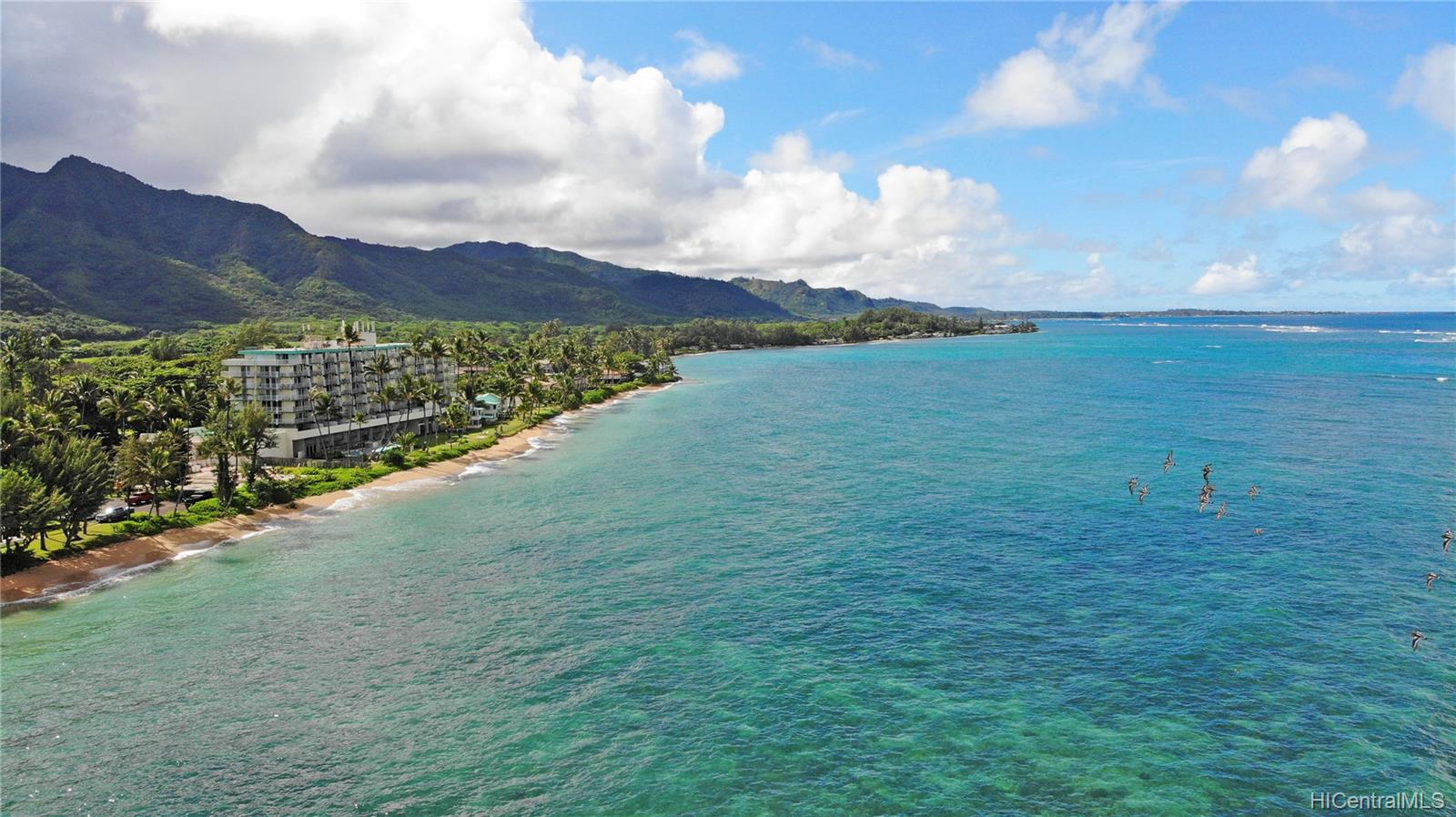 Pats At Punaluu for Sale