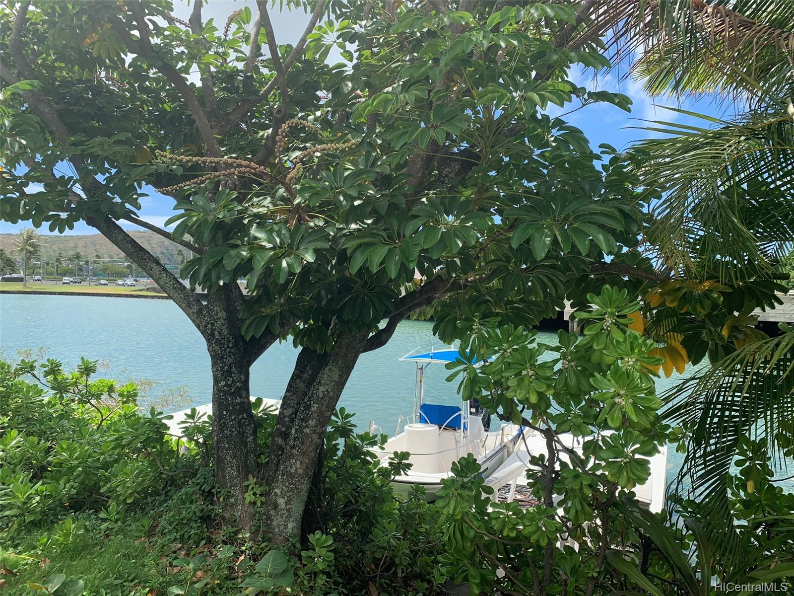 205 Kawaihae Street  Unit A6
