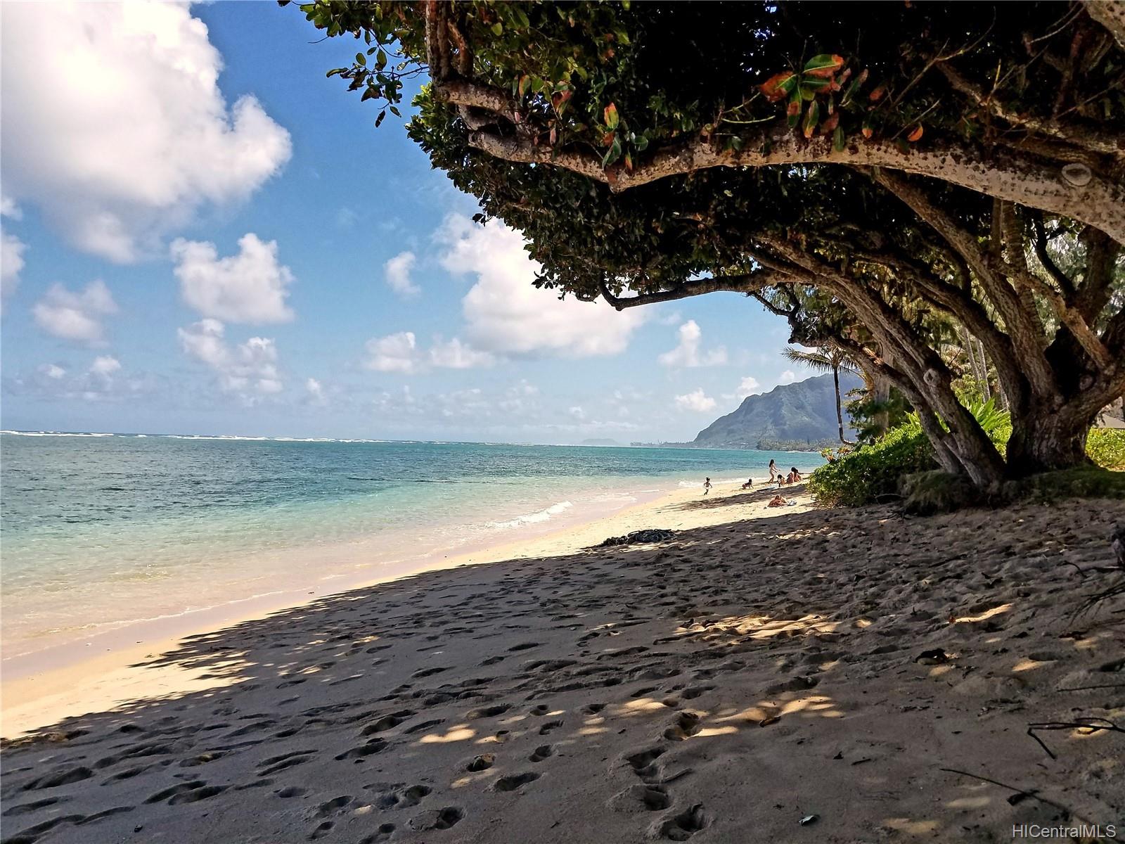 Pats At Punaluu for Sale