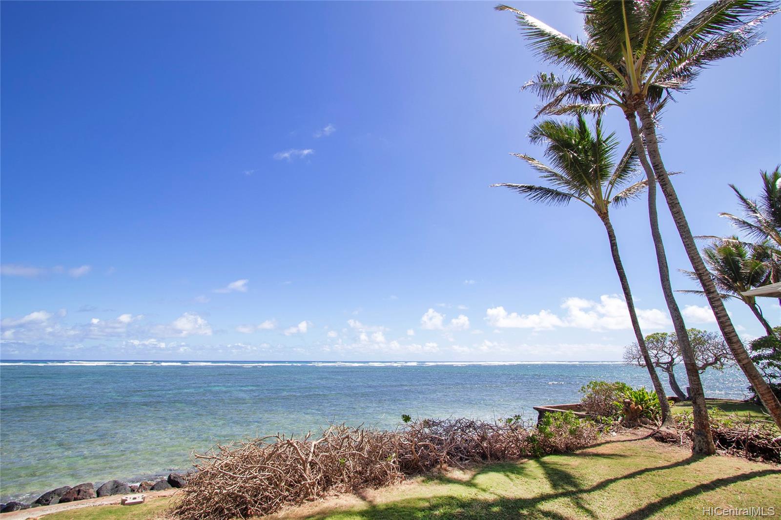 53-853 Kamehameha Highway