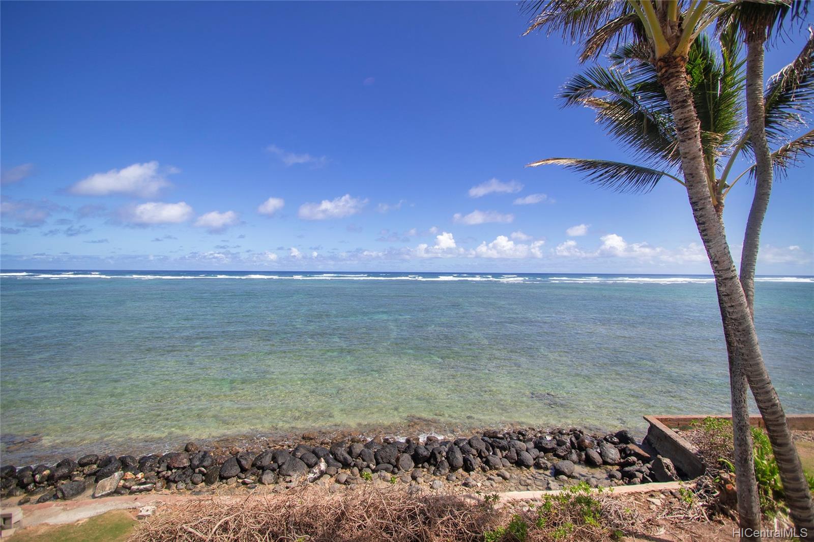 53-853 Kamehameha Highway
