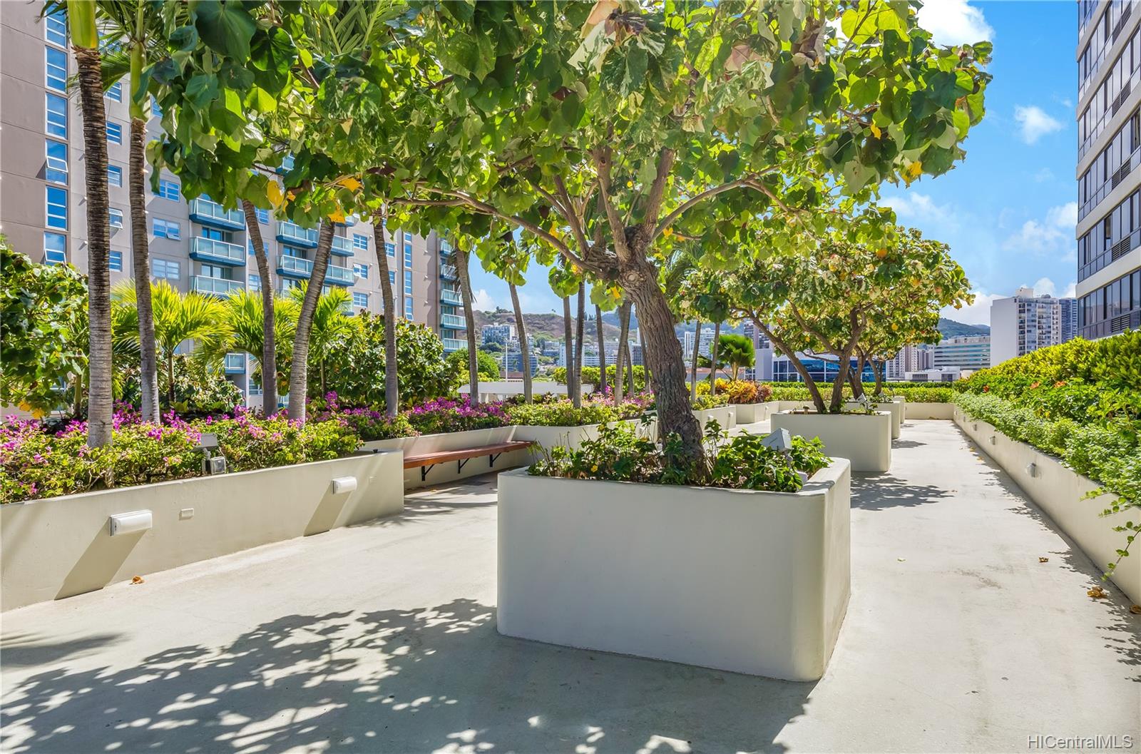 876 Curtis Street  Unit 603