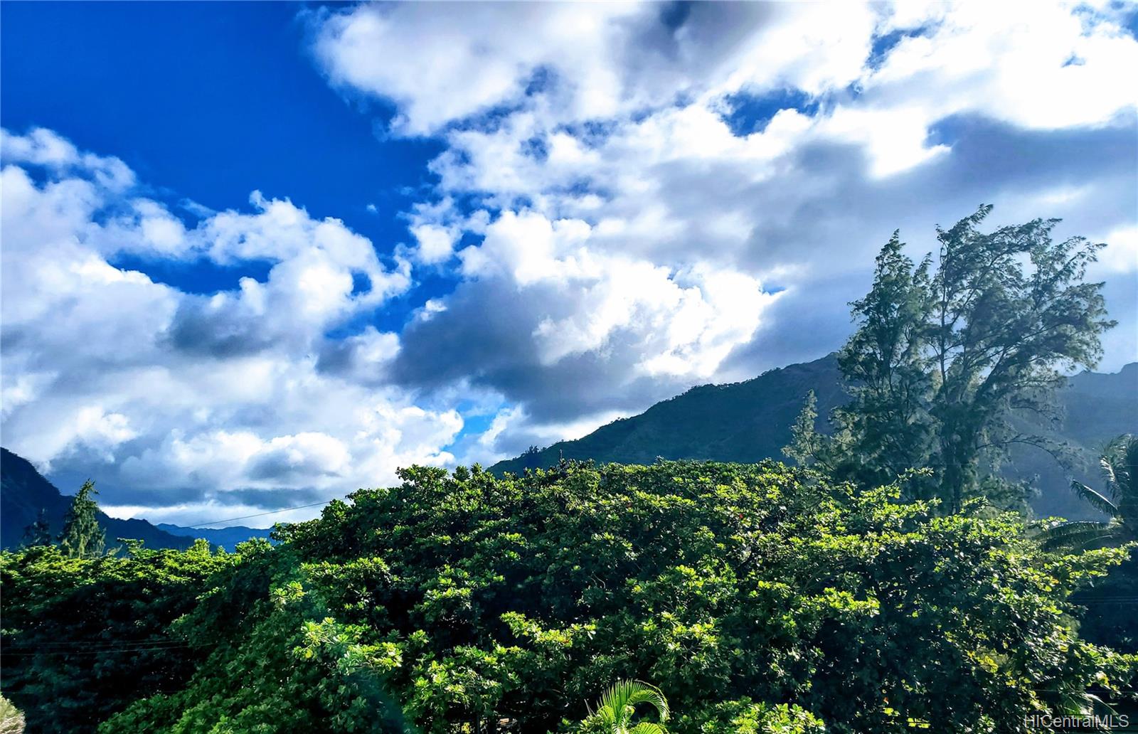 53-567 Kamehameha Highway  Unit 503