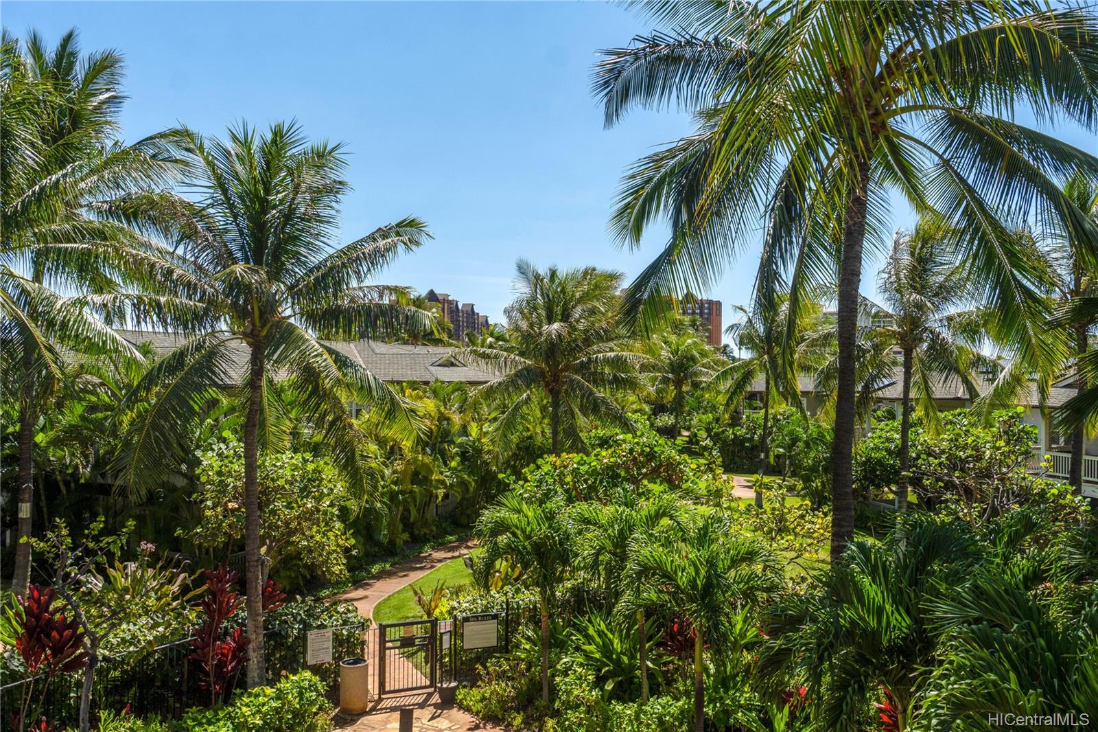 Coconut Plantation for Sale