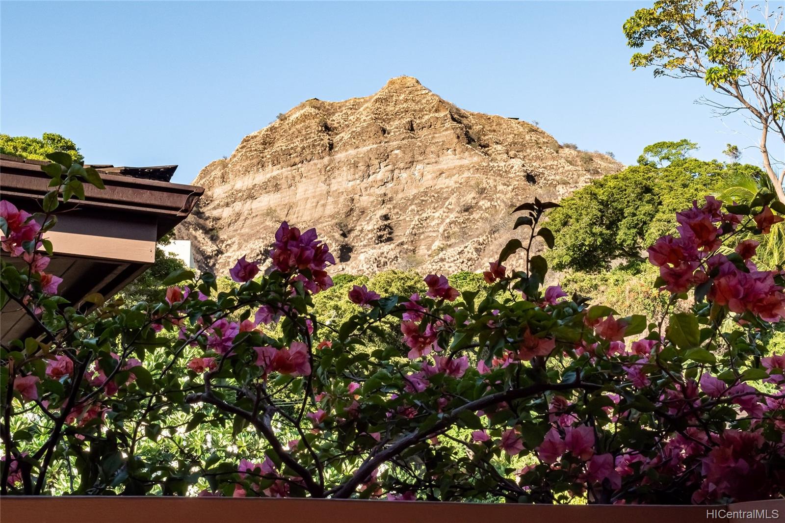 3165 Diamond Head Road  Unit D