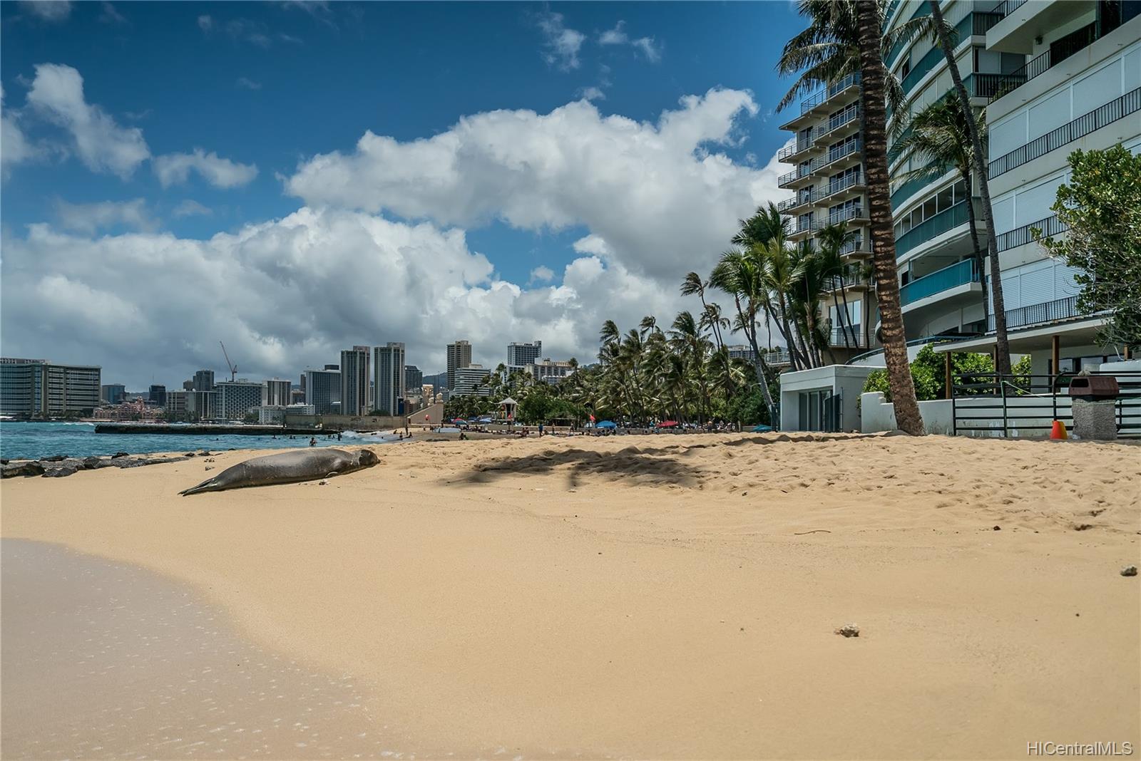 2895 Kalakaua Avenue  Unit 207