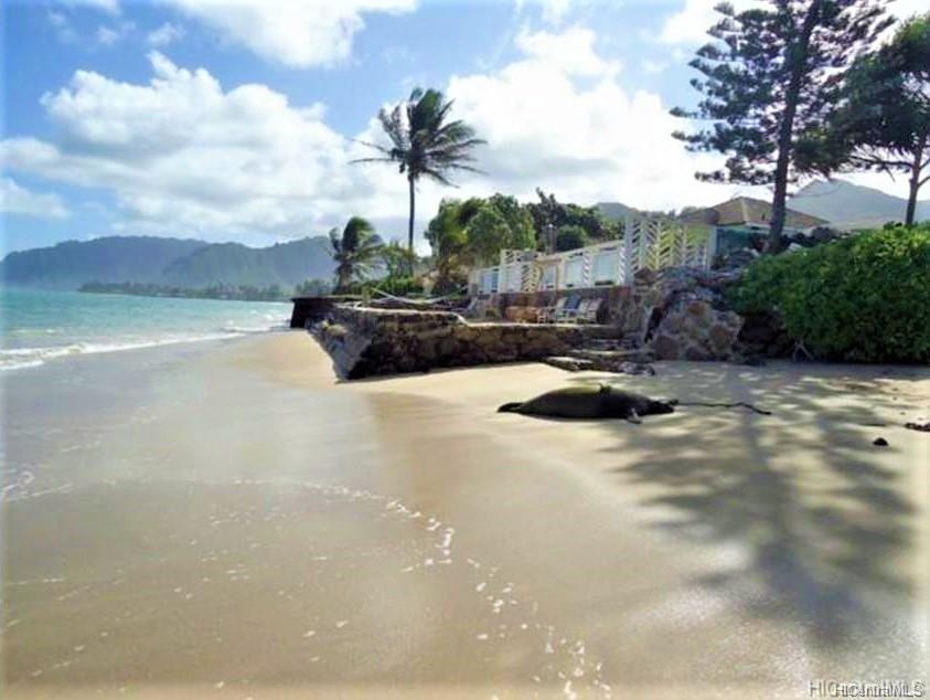 53-841 Kamehameha Highway