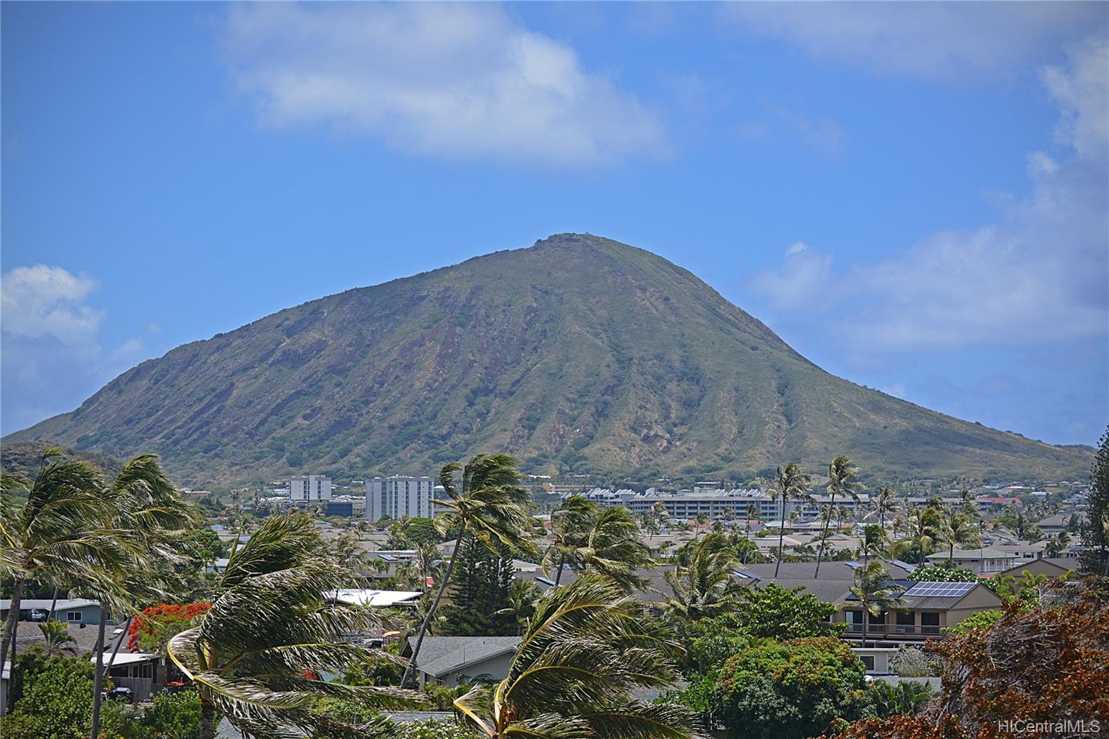 250 Kawaihae Street  Unit 1D