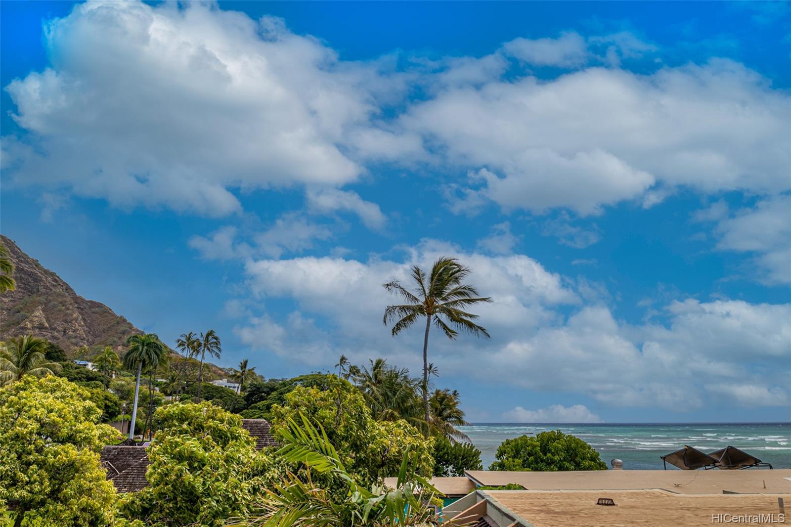 2801 Coconut Avenue  Unit 3E