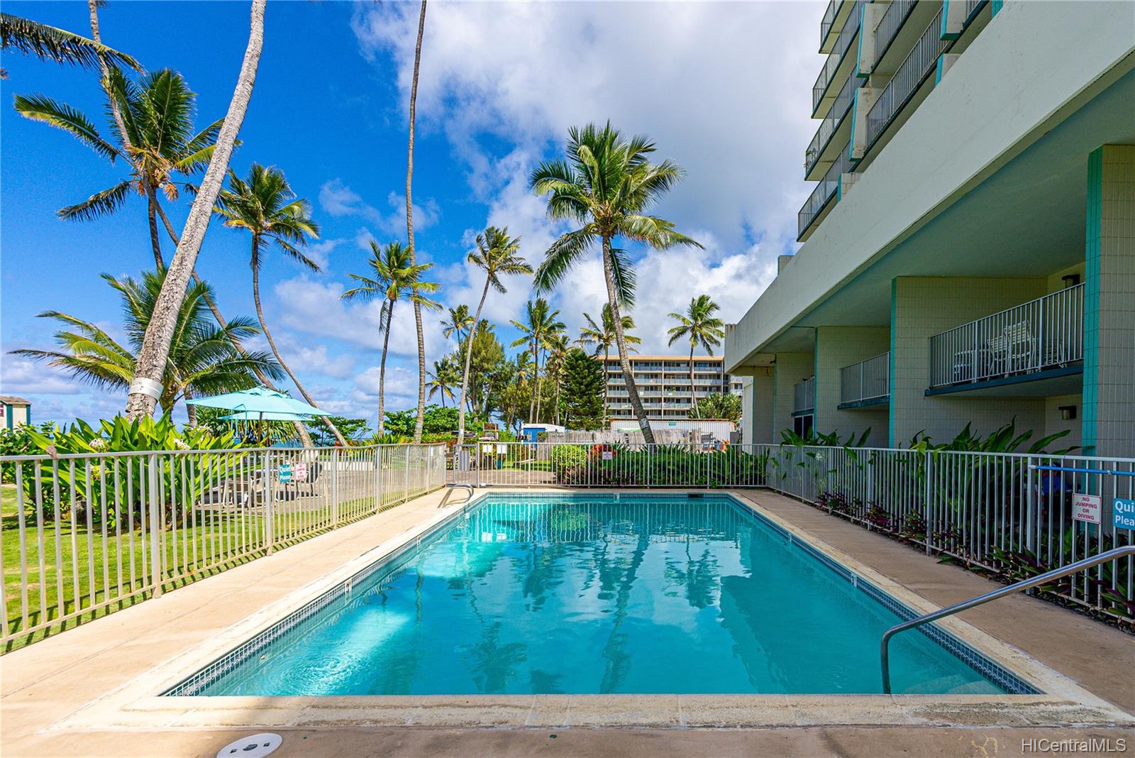 53-567 Kamehameha Highway  Unit 203
