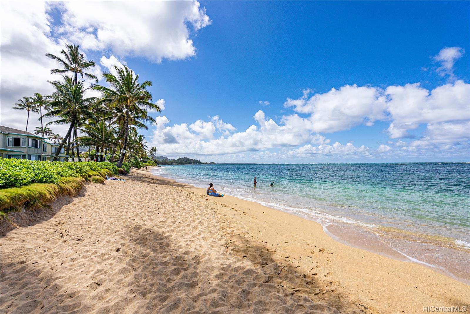 53-567 Kamehameha Highway  Unit 203