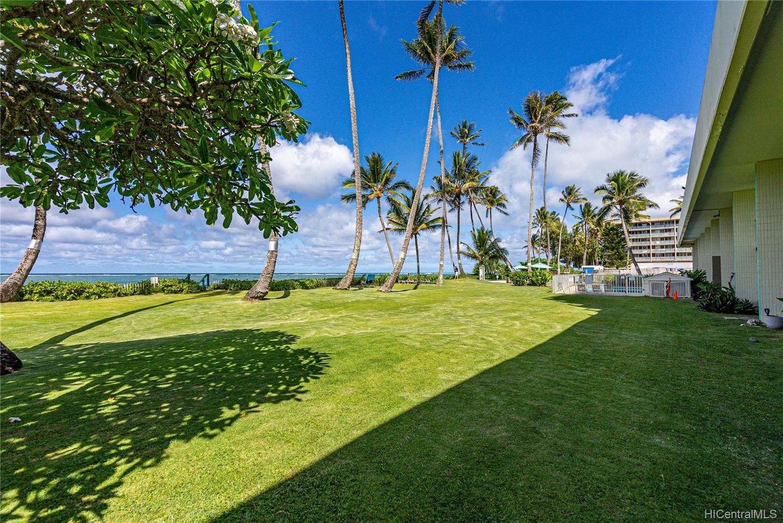53-567 Kamehameha Highway  Unit 203