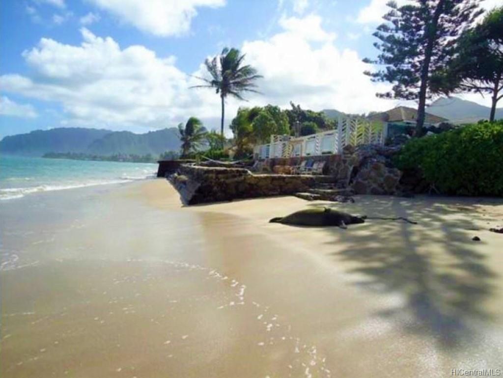 53-841 Kamehameha Highway