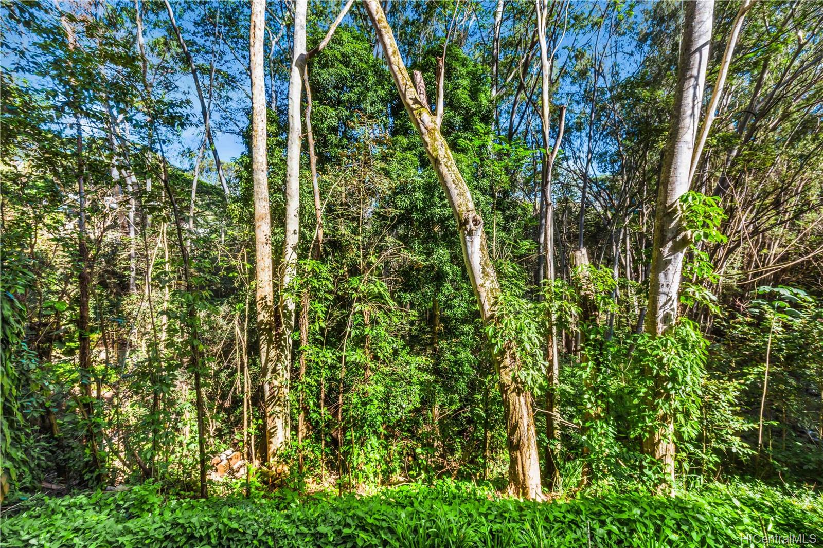 Waikalani Woodlands 95227 Waikalani Drive Unit A208 Mililani HI 96789