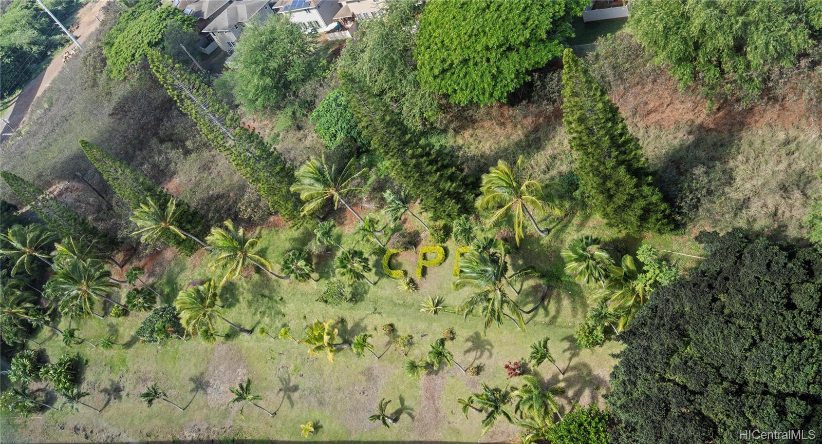 1060 Kamehameha Highway  Unit 2308B