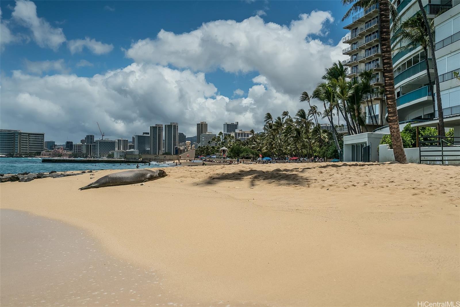 2895 Kalakaua Avenue  Unit 506