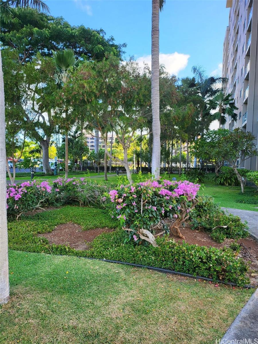 94-302 Paiwa Street  Unit 507