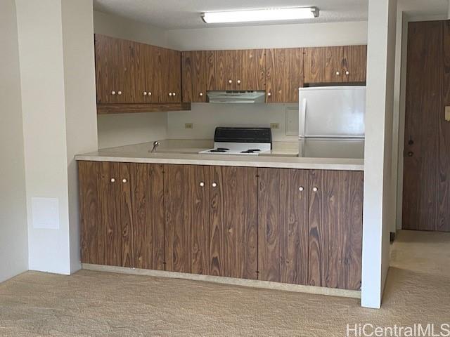 1717 Mott Smith Drive  Unit 1511