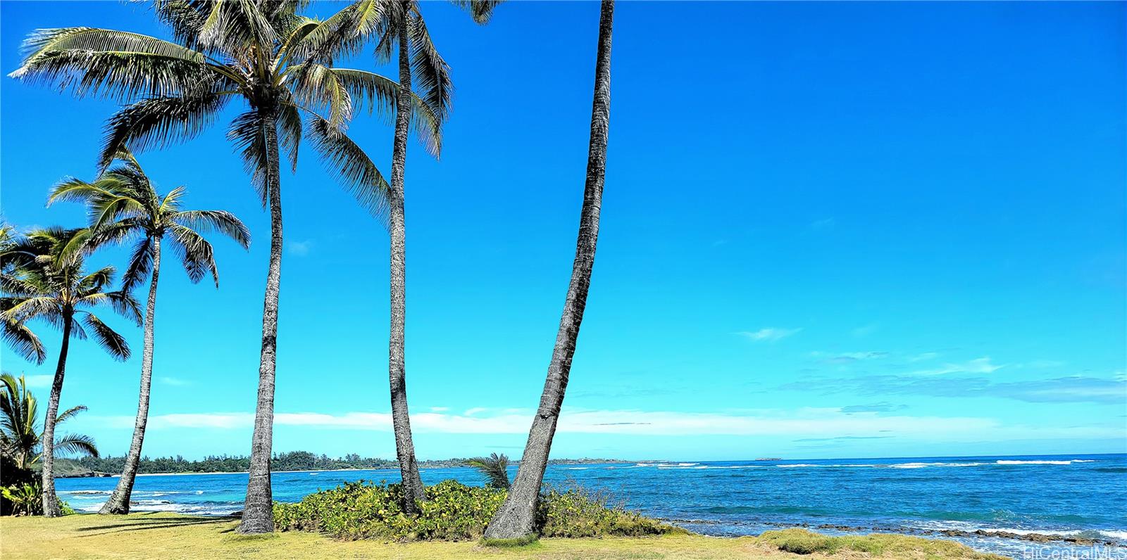 54-327 Kamehameha Highway  Unit 1B