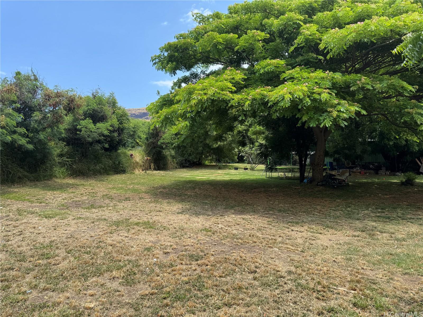 Photo 10 of 25