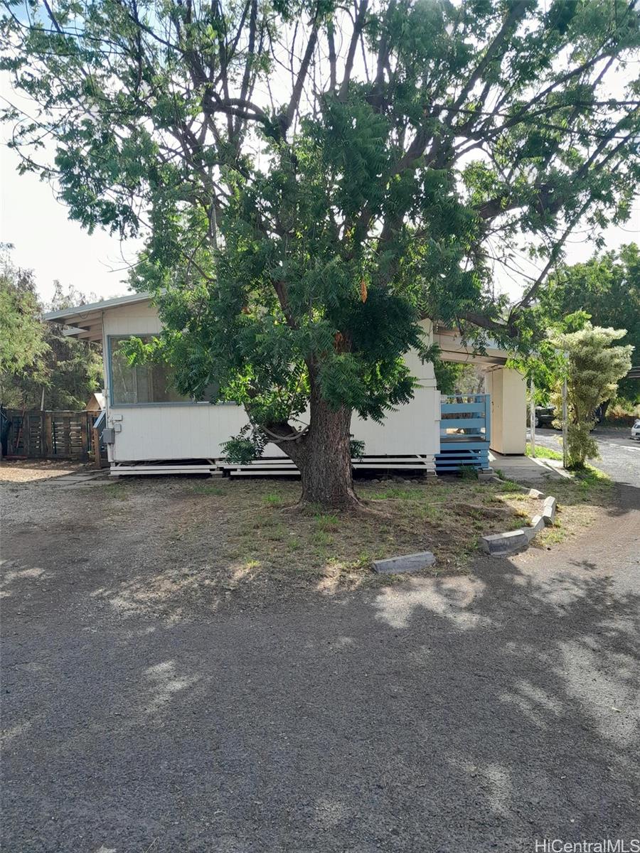 Photo 11 of 25