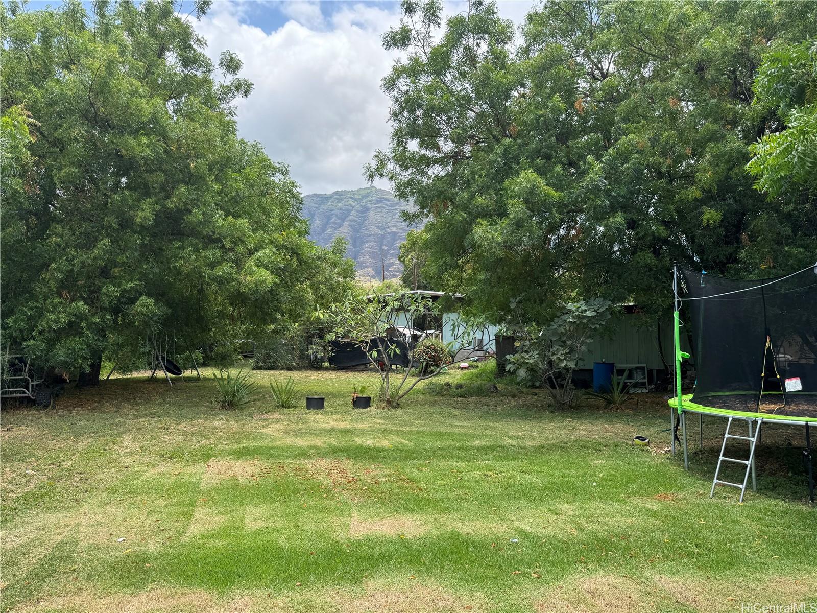 Photo 9 of 25