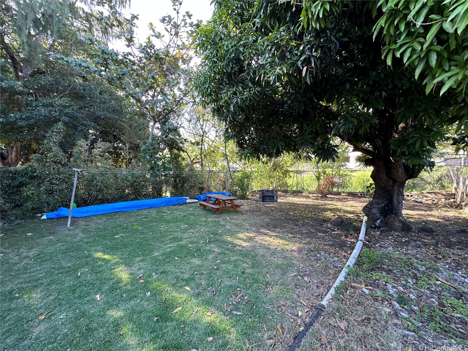 Photo 20 of 24