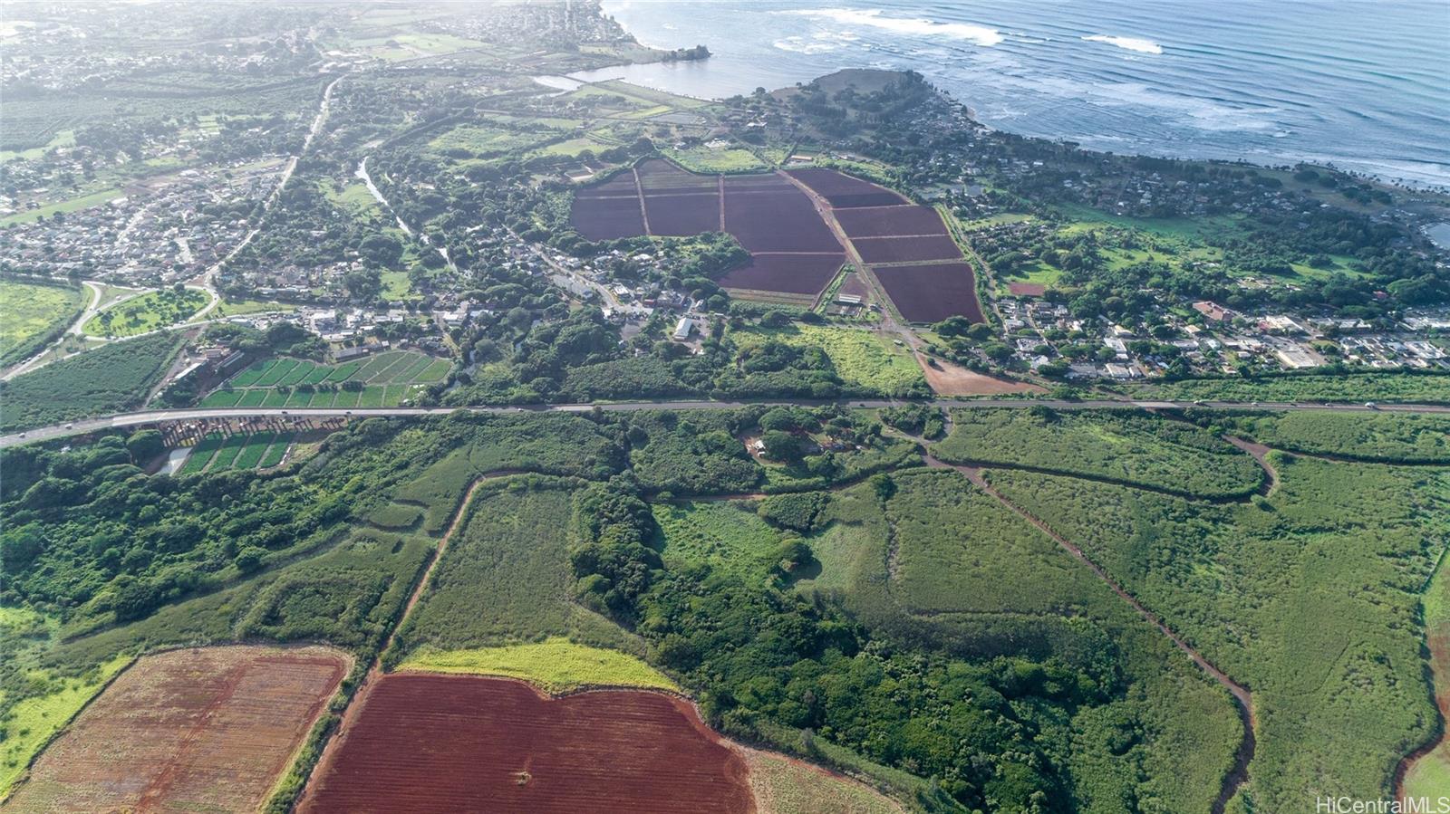 Photo 4 of 16