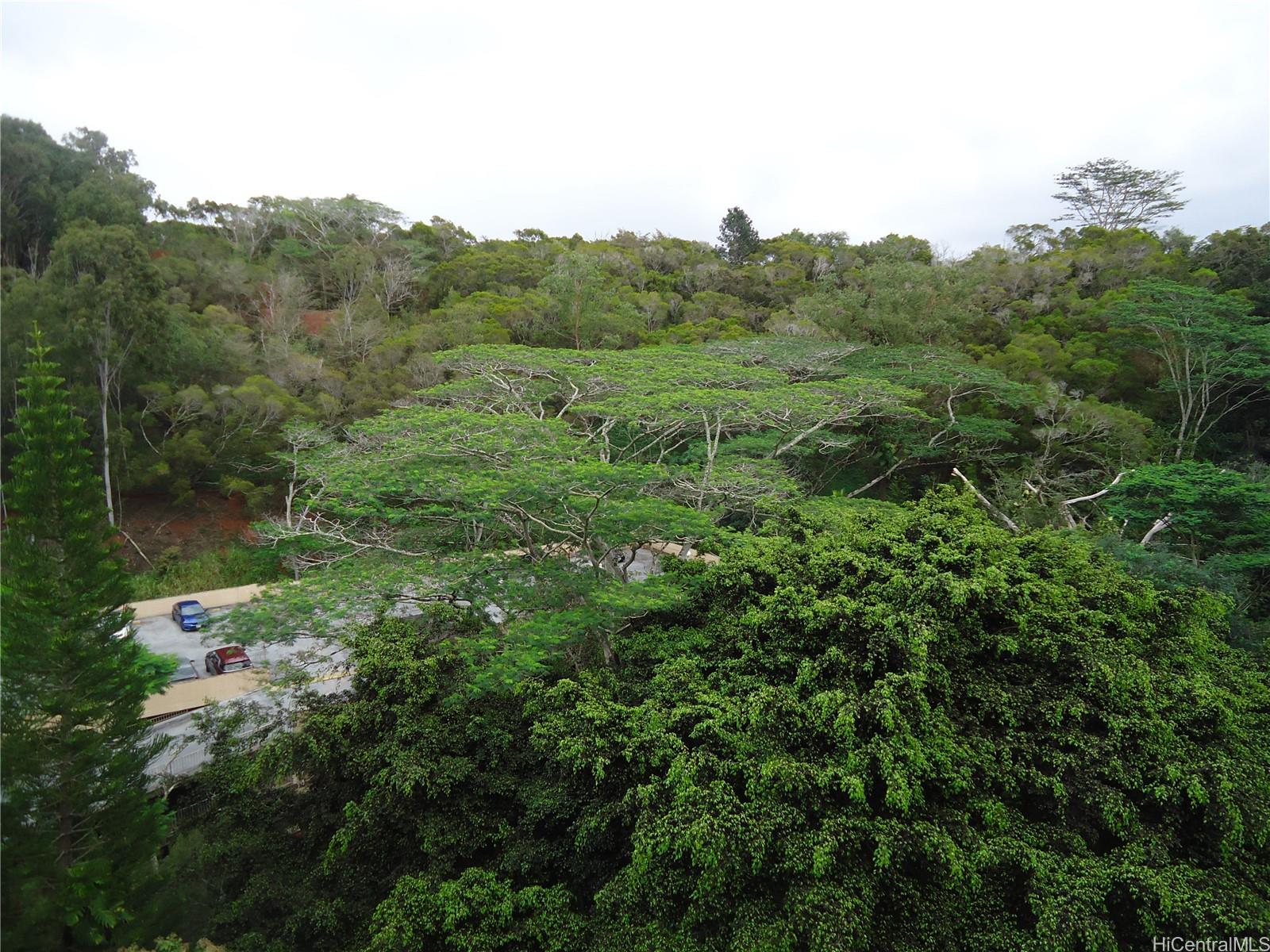 Waikalani Woodlands 95269 Waikalani Drive Unit C1106 Mililani HI 96789