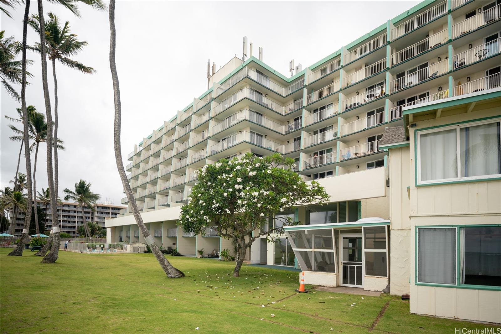 53-567 Kamehameha Highway  Unit 204