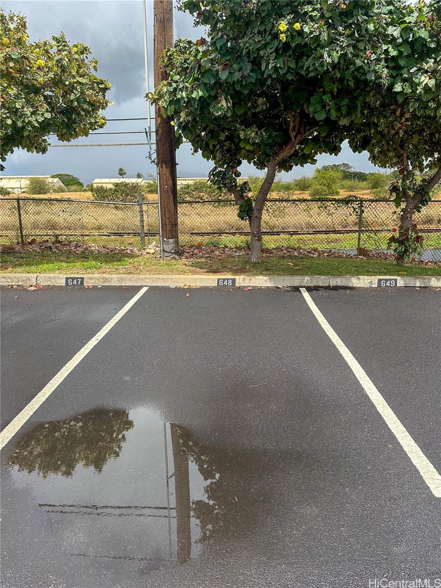 Photo 19 of 23