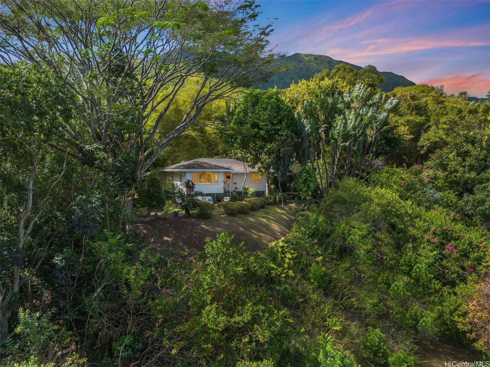 Photo 4 of 24