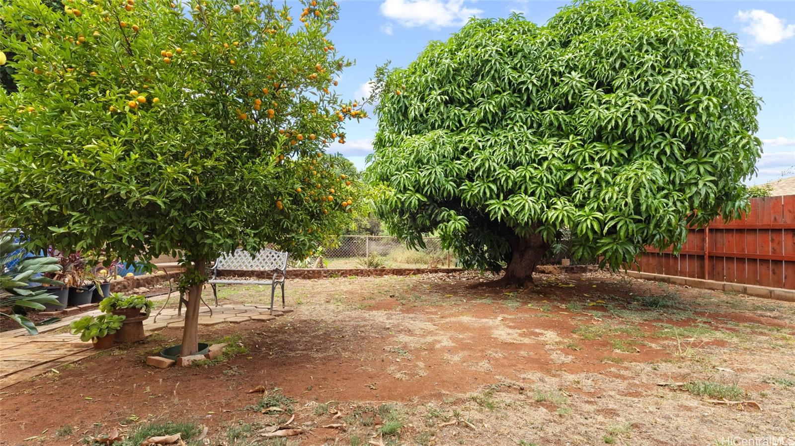 Photo 20 of 20