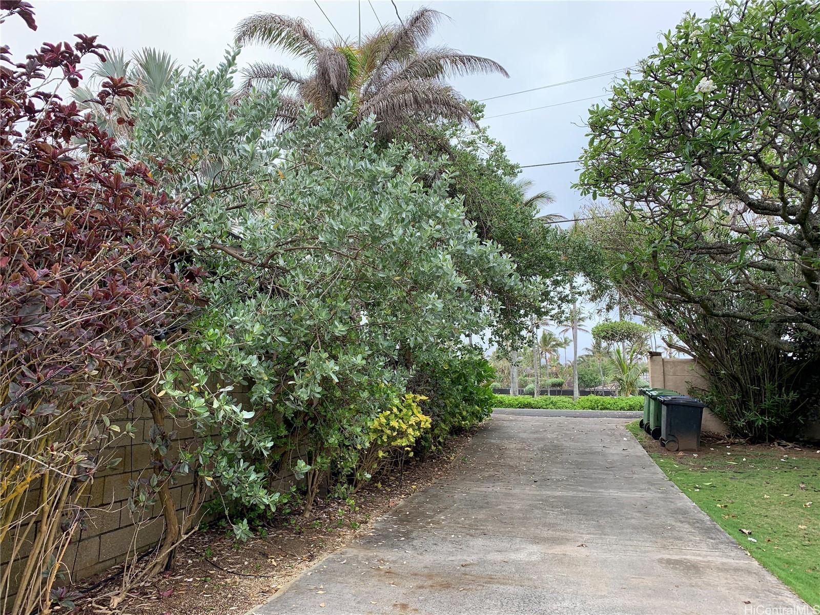55371 Kamehameha Highway
