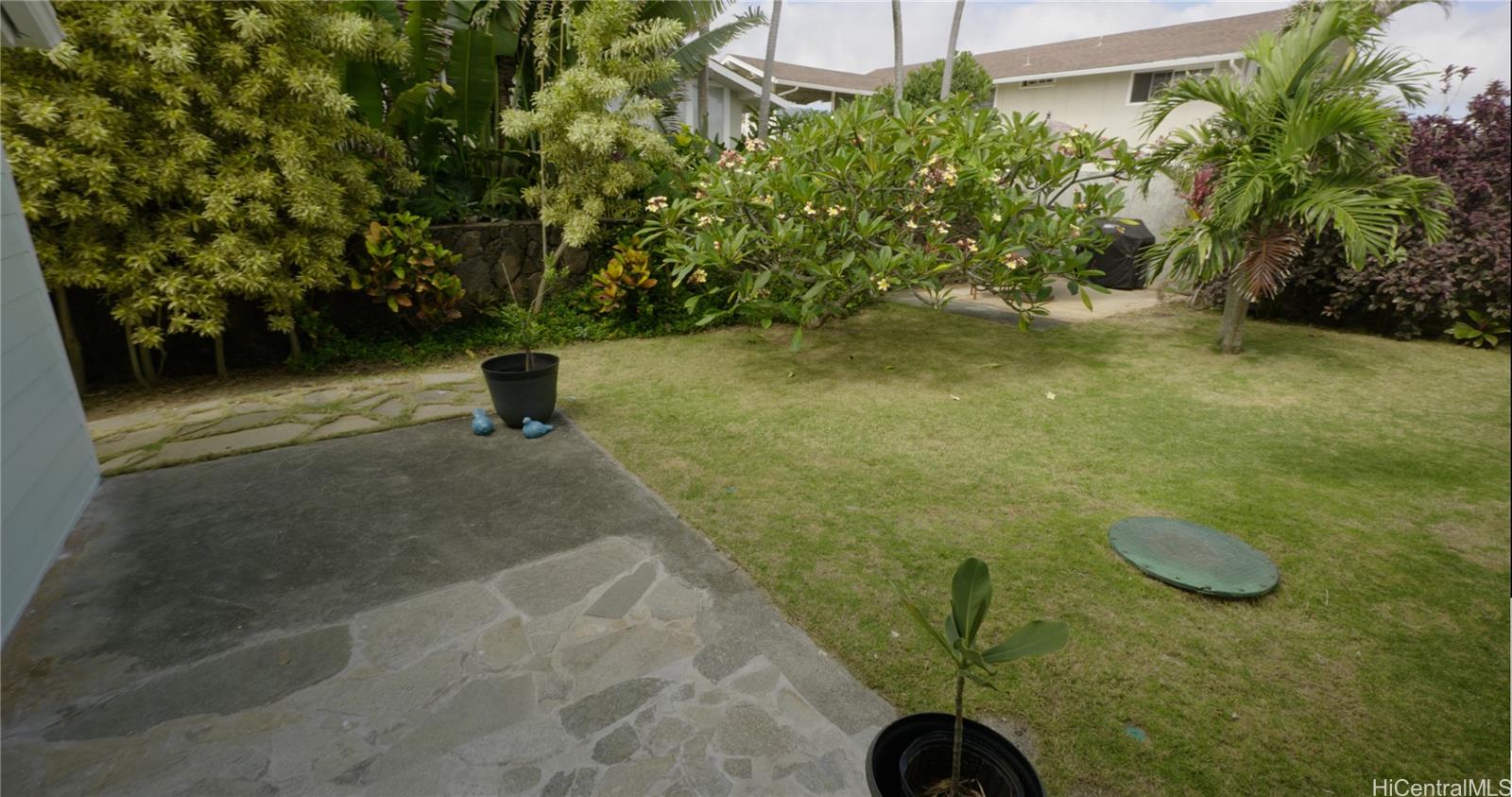 Photo 20 of 25