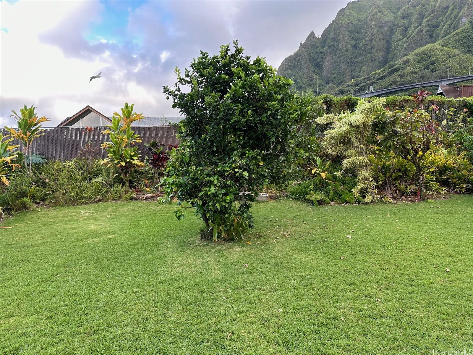 Photo 8 of 22