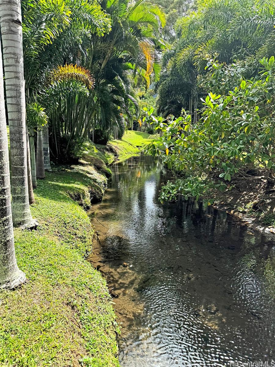 Photo 13 of 25