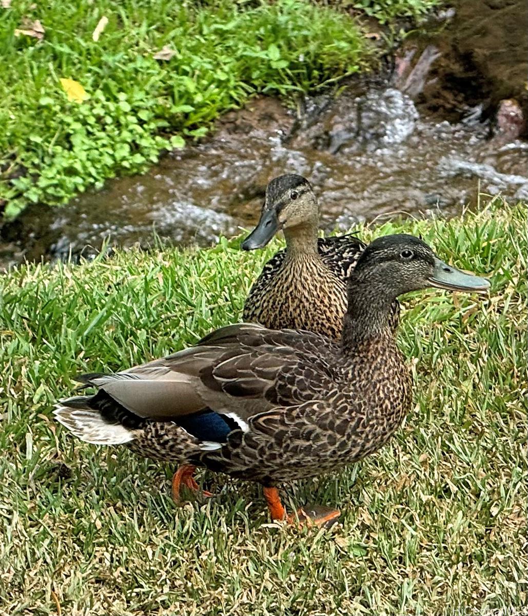 Photo 19 of 25